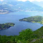 Margherita Colico