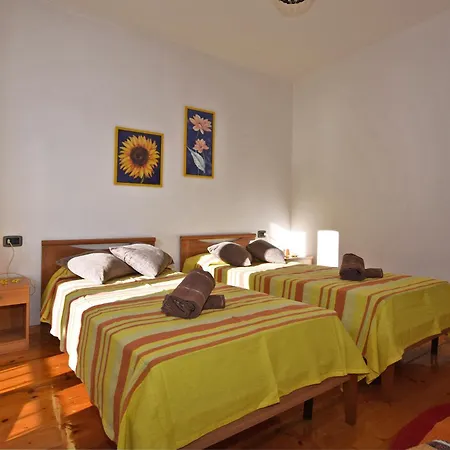 Margherita * 콜리코