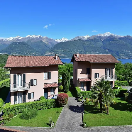 Margherita 콜리코