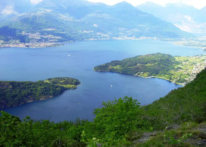 Margherita קוליקו